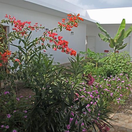 Villa Sao Jose Pedra Badejo  Exteriör bild