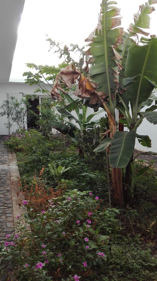 Villa Sao Jose Pedra Badejo  Exteriör bild
